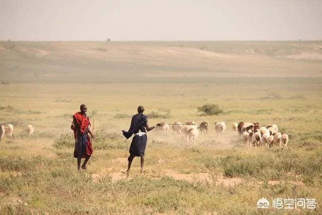 21世纪有哪些著名的旅行家？