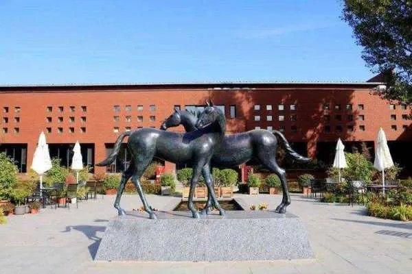 北京开通4.37公里城市马道，此行为传承了哪些文化底蕴？