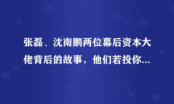 张磊、沈南鹏两位幕后资本大佬背后的故事，他们若投你，你选谁？