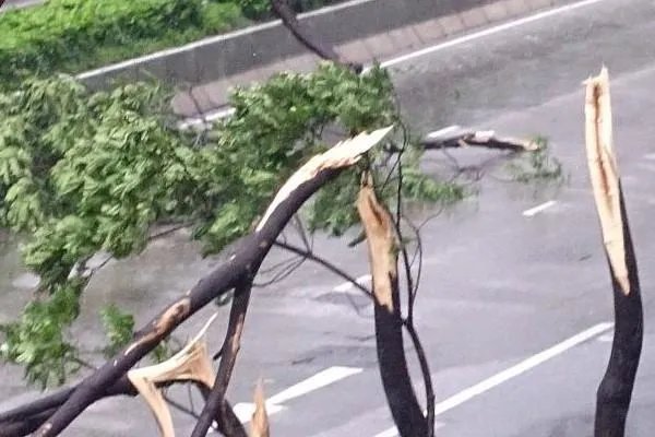 今年第13号台风“鲸鱼”生成，将会做什么预警情报？