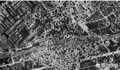 讲一讲东京大轰炸可以吗？