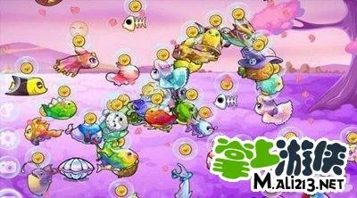 《开心水族箱》初级海马介绍