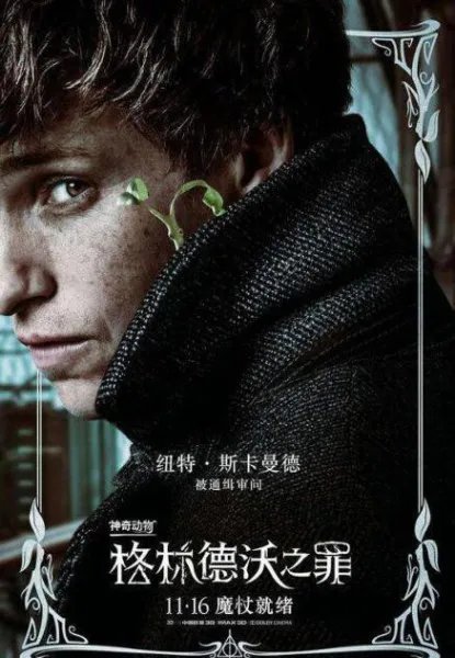 神奇动物在哪里2片尾有彩蛋吗？