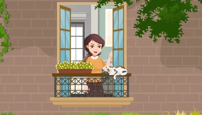 宠物猫的品种大全