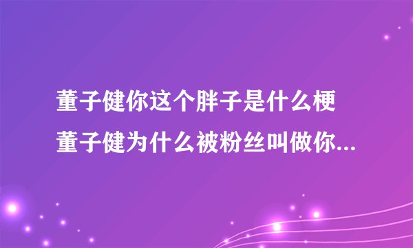 董子健你这个胖子是什么梗 董子健为什么被粉丝叫做你这个胖子