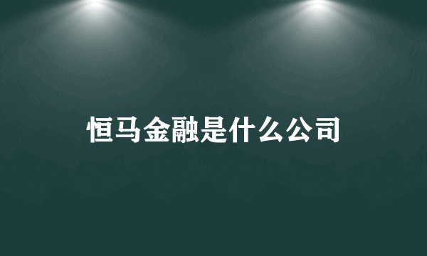 恒马金融是什么公司