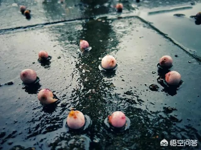 阴雨天如何拍出好照片?