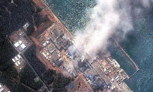 核辐射有多可怕?日本辐射后的蔬菜水果长什么样?