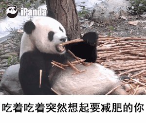 黑丝萌妹大战触手！夙愿得偿的邪恶动态图