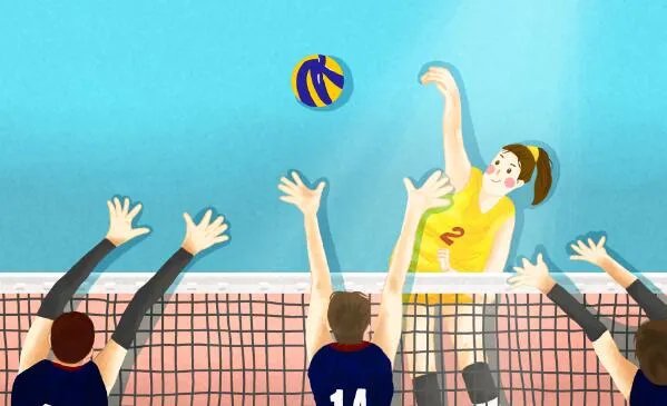 排球比赛男子排球和女子排球球网一样高吗 男子排球和女子排球的网有没有区别