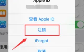 苹果app store打开是空白的怎么办
