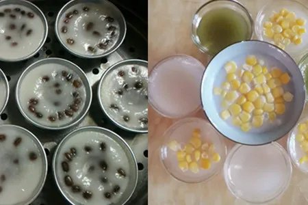 盘点甜品制作大全