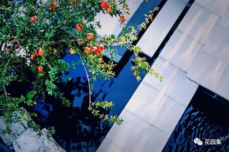 干货看了千百遍,一到设计就懵圈!庭院设计,你到底差在哪儿?