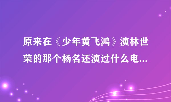 原来在《少年黄飞鸿》演林世荣的那个杨名还演过什么电视剧吗？