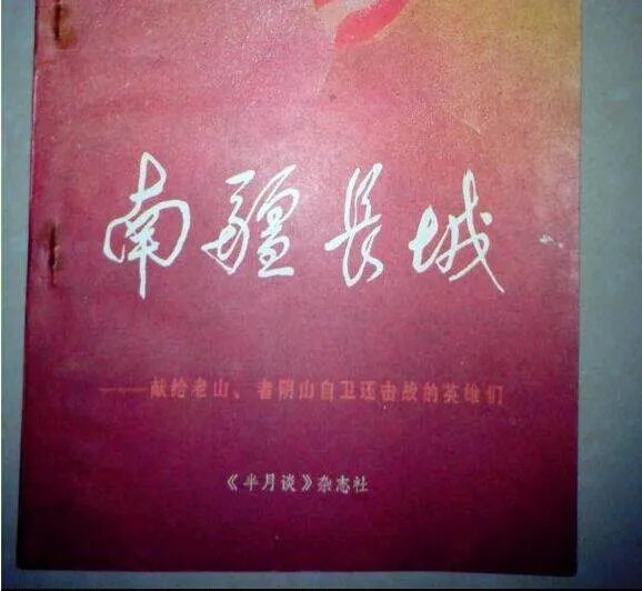 对越自卫反击战纪实书籍