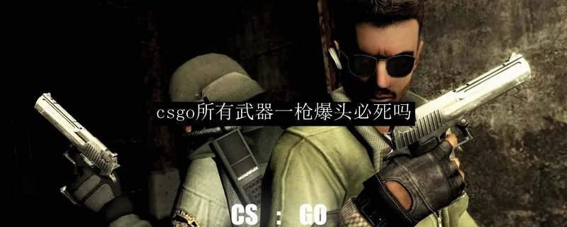 csgo所有武器一枪爆头必死吗