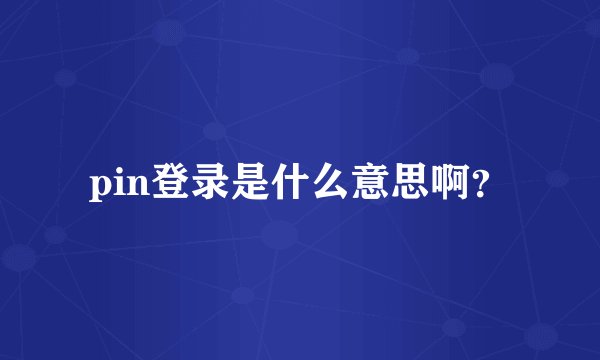 pin登录是什么意思啊？