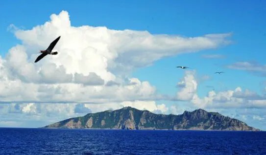 白帆文学社的白帆管理系统