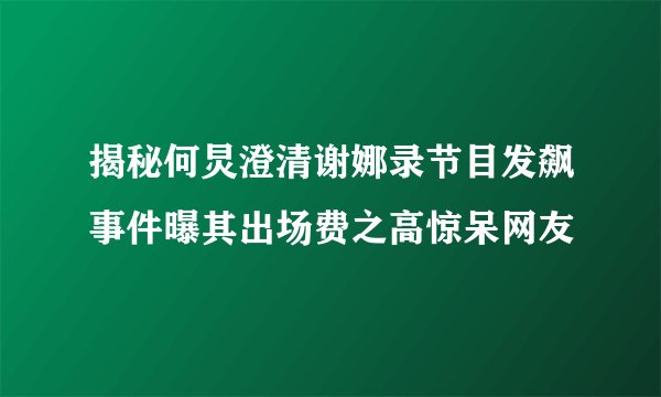 揭秘何炅澄清谢娜录节目发飙事件曝其出场费之高惊呆网友