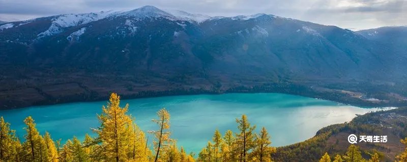 望洞庭的古诗意思