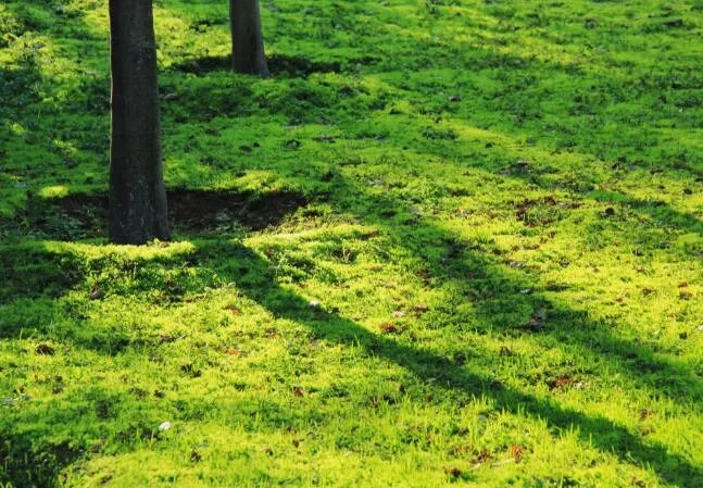 适合发朋友圈的句子