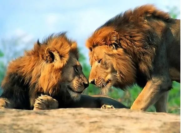 为什么快手一打开，全是女的在那摇摆，男的寥寥无几？