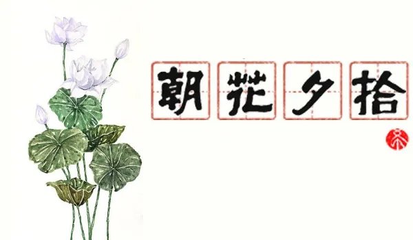 父亲的病主要内容100字