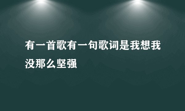 有一首歌有一句歌词是我想我没那么坚强