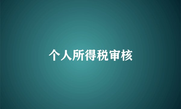 个人所得税审核