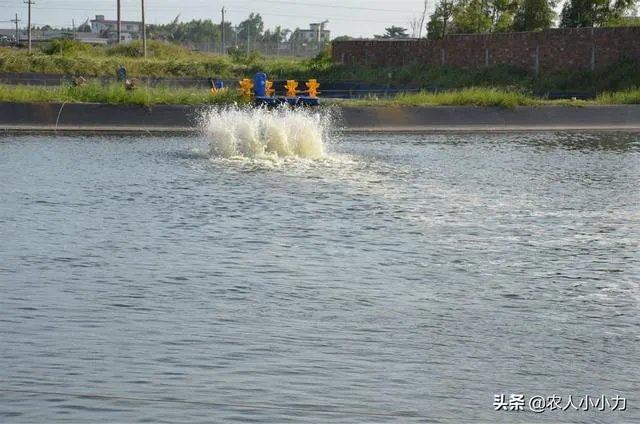 农村鱼塘增8亩，鱼塘用多大的增氧机比较好，该注意些什么？叶轮式增氧用多大的？
