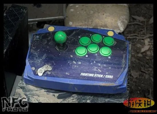 百年洪水来袭 澳洲玩家藏品惨遭洪水蹂躏(图)