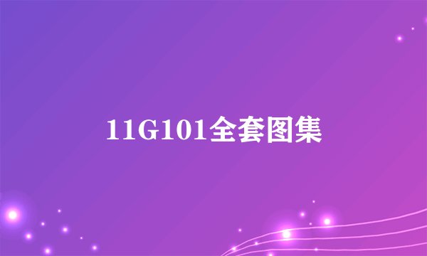 11G101全套图集