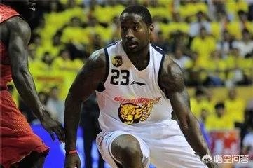 怎么评价唐纳德斯隆这名球员?