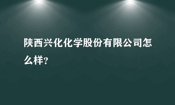 陕西兴化化学股份有限公司怎么样？
