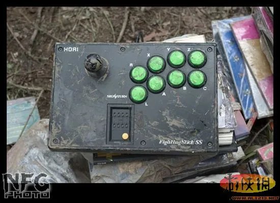 百年洪水来袭 澳洲玩家藏品惨遭洪水蹂躏(图)