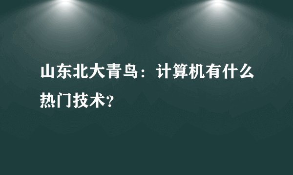 山东北大青鸟：计算机有什么热门技术？