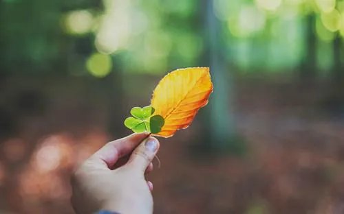 全城人都等我成寡妇大结局小说-秦安安傅时霆全章节阅读