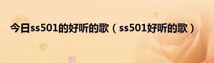 今日ss501的好听的歌（ss501好听的歌）