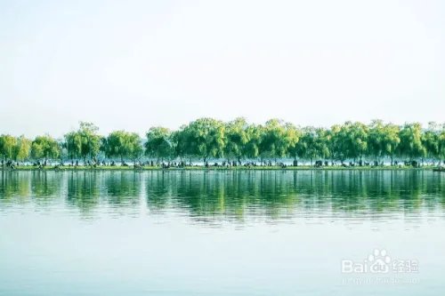 这个黄金周去这个人潮涌动的地方看什么？