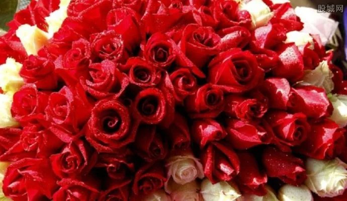 情人节玫瑰多少钱 玫瑰花提前预订会比较便宜吗