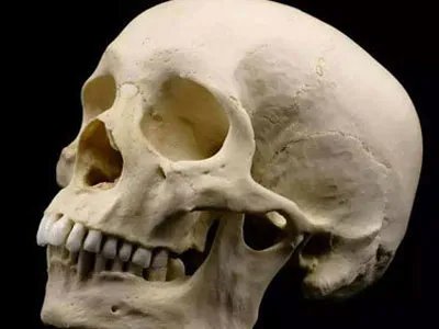 人死后身上这东西竟会悄悄变长(胆小勿进)