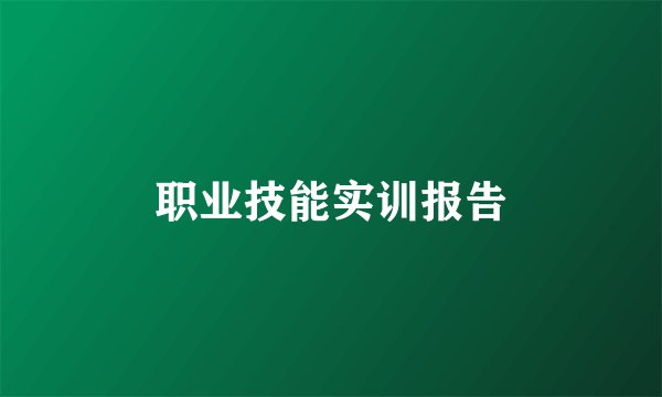 职业技能实训报告