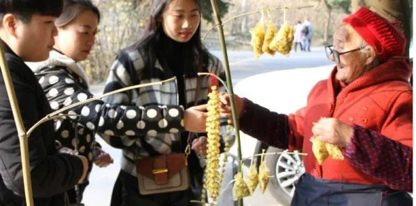 梅花婆婆是何许人也?