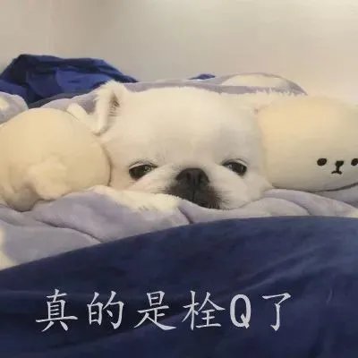 栓q什么意思 拴q是什么梗