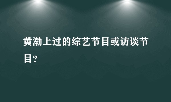 黄渤上过的综艺节目或访谈节目？