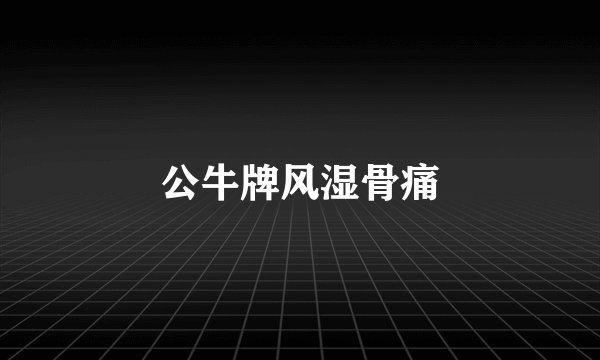 公牛牌风湿骨痛