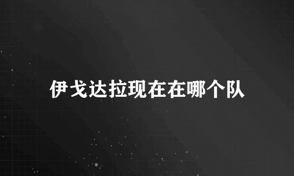 伊戈达拉现在在哪个队