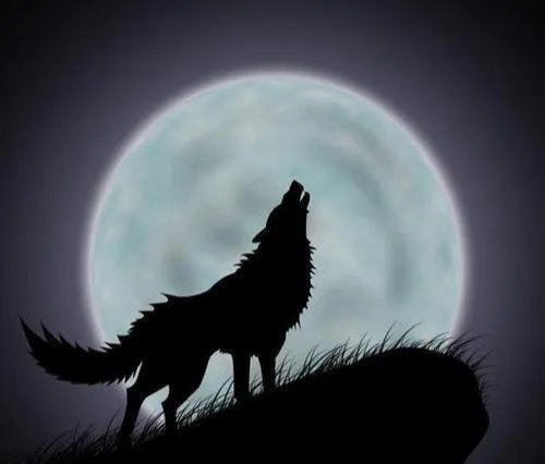 任正非:我们没有“996”,你觉得华为加班文化到底是怎样的?