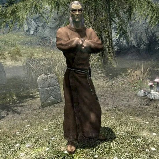 《上古卷轴5》全训练师位置详解及注意事项 轻甲及锻造训练师位置