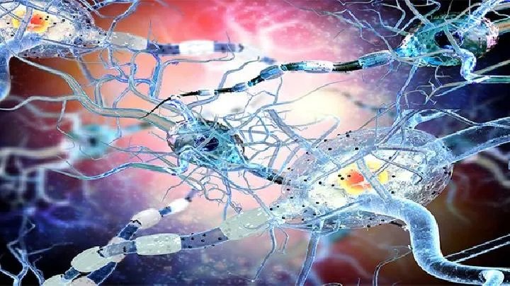 白内障形成的原因